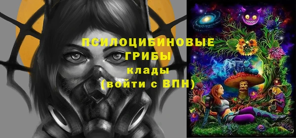 спайс Алзамай