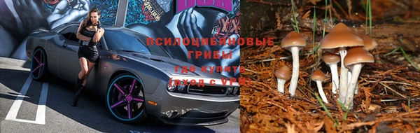 спайс Алзамай