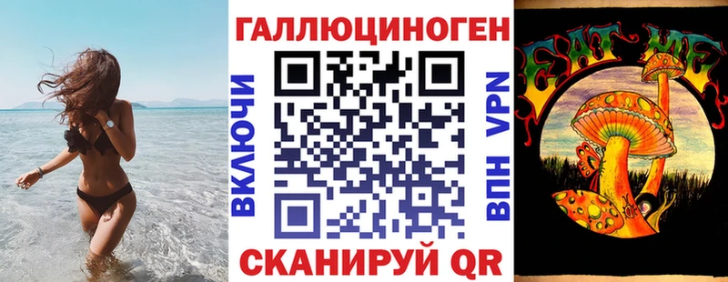 KRAKEN tor  Алзамай  Псилоцибиновые грибы прущие грибы 